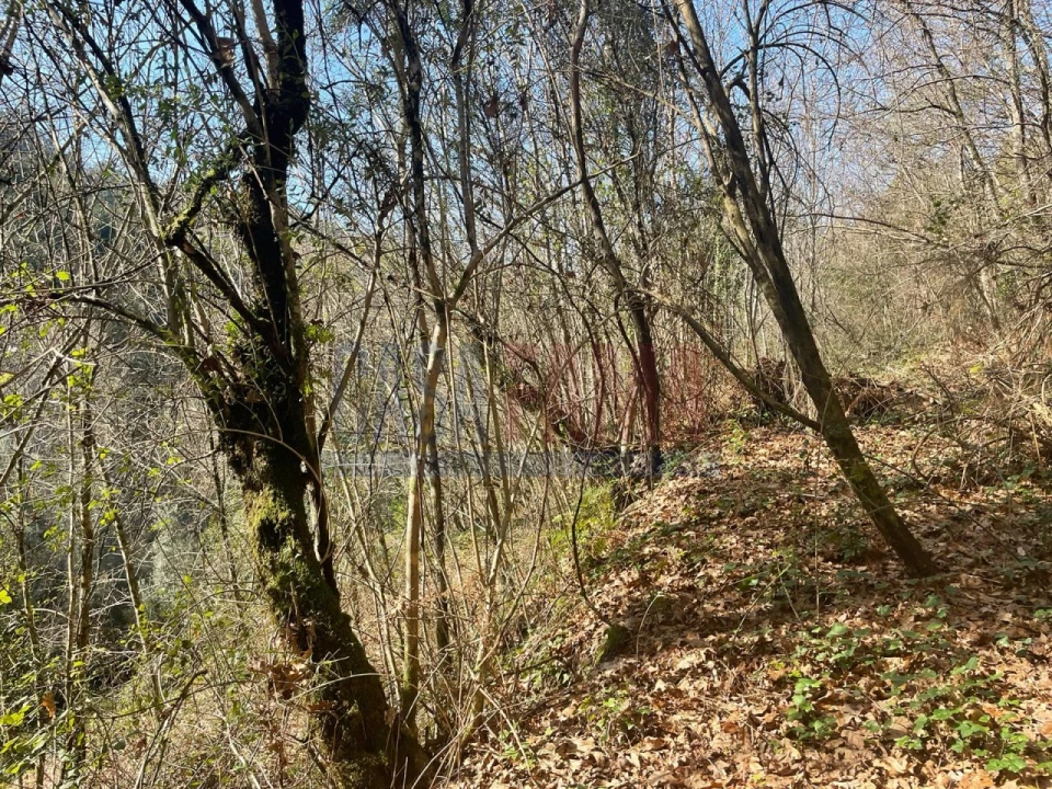 Terreno para Venda em Caniçada e Soengas Foto 18