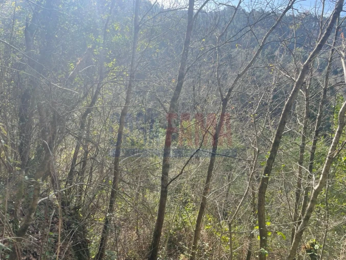Terreno para Venda em Caniçada e Soengas Foto 13