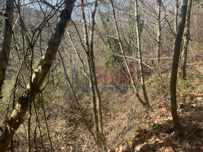Terreno para Venda em Caniçada e Soengas Foto 15