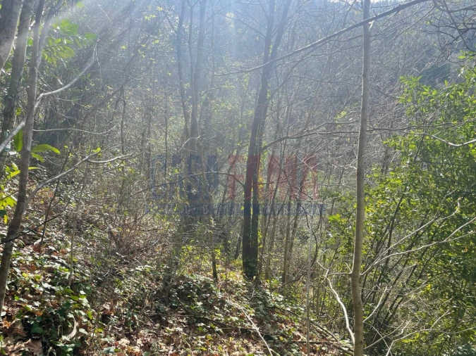 Terreno para Venda em Caniçada e Soengas Foto 16