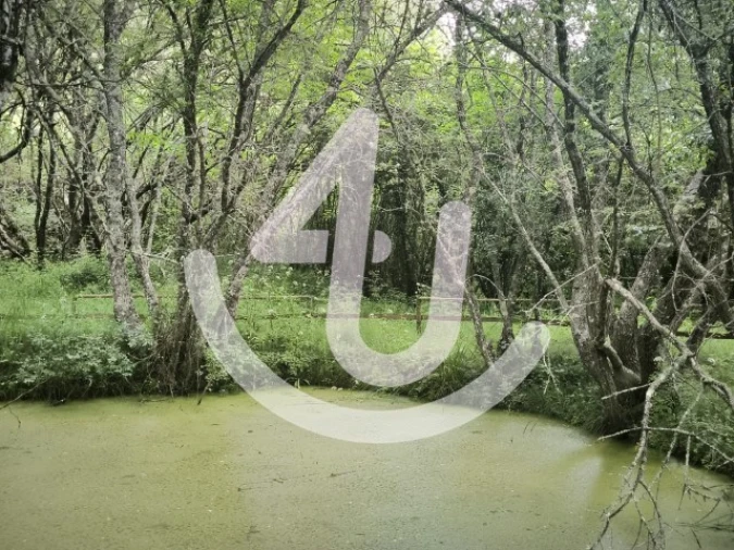 Moradia T3 para Venda em Vimeiro Foto 18