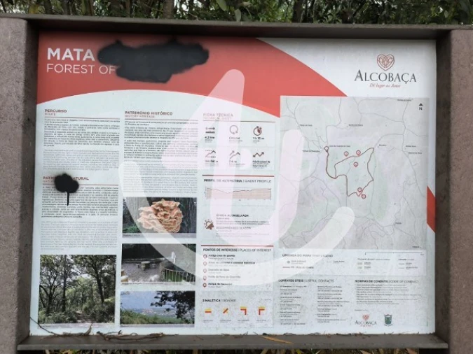 Moradia T3 para Venda em Vimeiro Foto 19