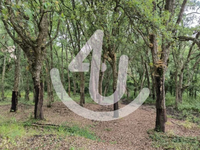 Moradia T3 para Venda em Vimeiro Foto 20