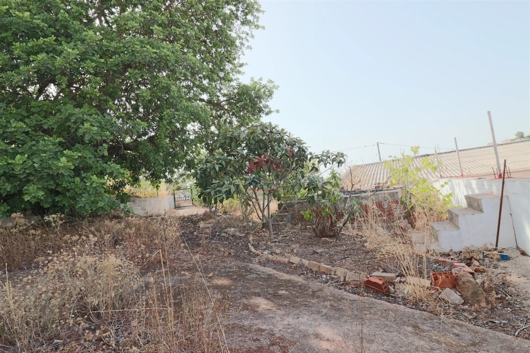 Armazém para Venda em Loule (São Sebastião) Foto 11
