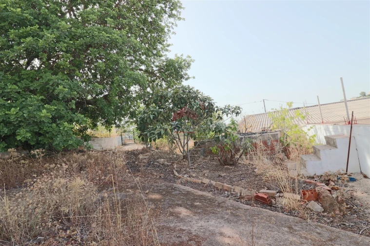 Armazém para Venda em Loule (São Sebastião) Foto 11