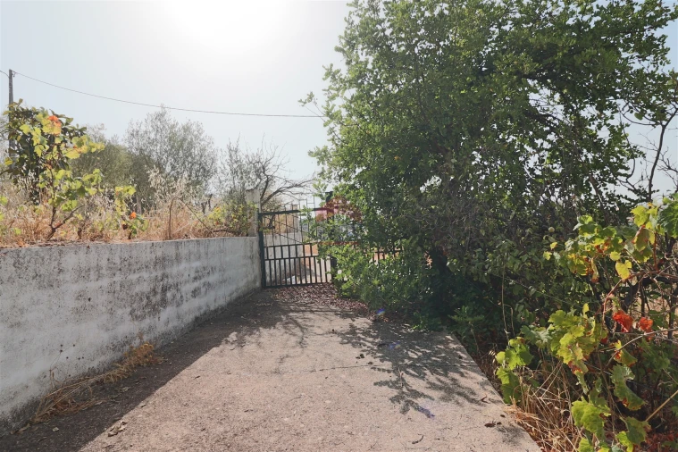 Armazém para Venda em Loule (São Sebastião) Foto 13