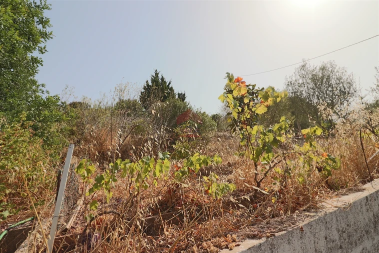 Armazém para Venda em Loule (São Sebastião) Foto 14
