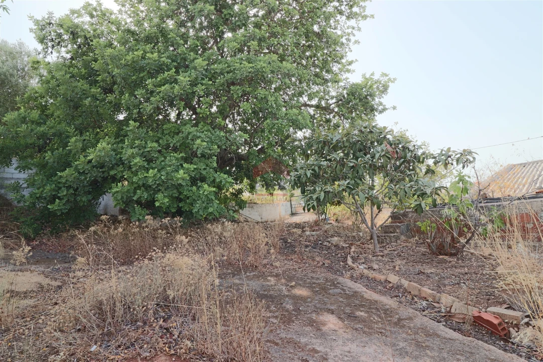 Armazém para Venda em Loule (São Sebastião) Foto 10