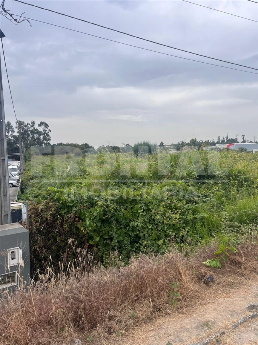 Terreno para Arrendamento em Vila Nova da Telha Foto 6