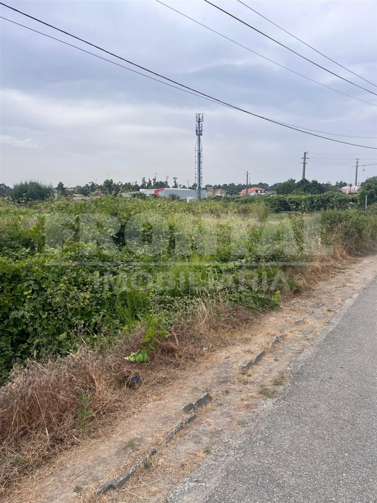 Terreno para Arrendamento em Vila Nova da Telha Foto 9