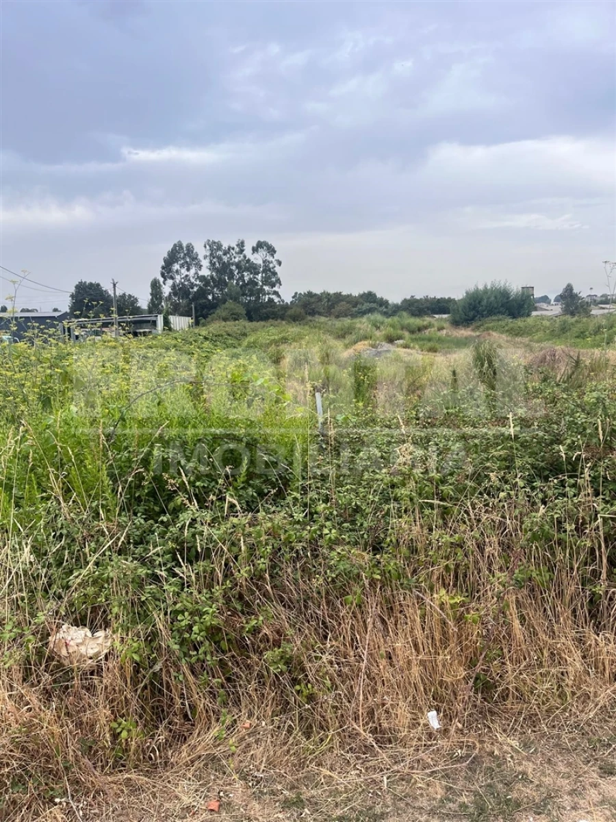 Terreno para Venda em Vila Nova da Telha Foto 7
