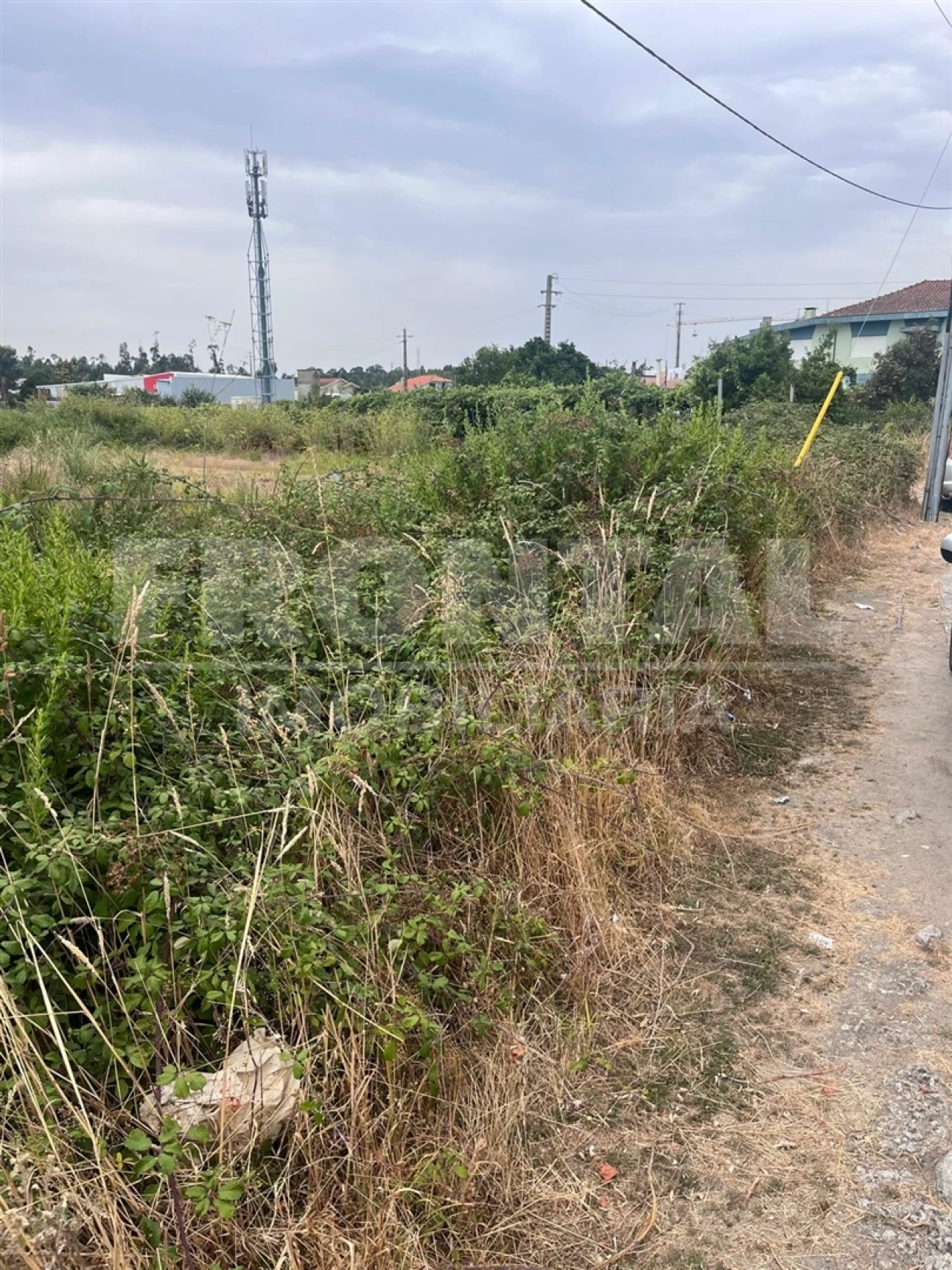 Terreno para Venda em Vila Nova da Telha Foto 8