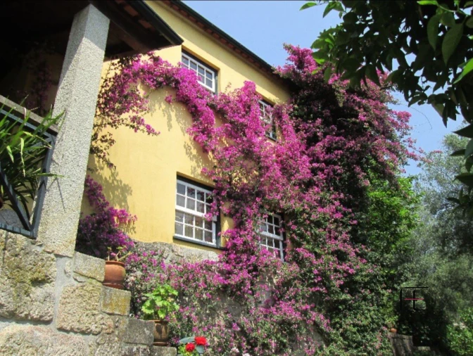 Quinta T4 para Venda em Arca e Ponte de Lima