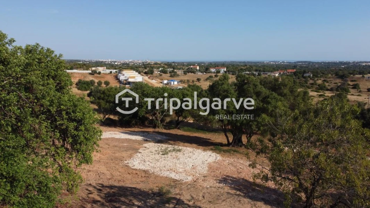 Terreno Agricola ou Rústico para Venda em Boliqueime Foto 24
