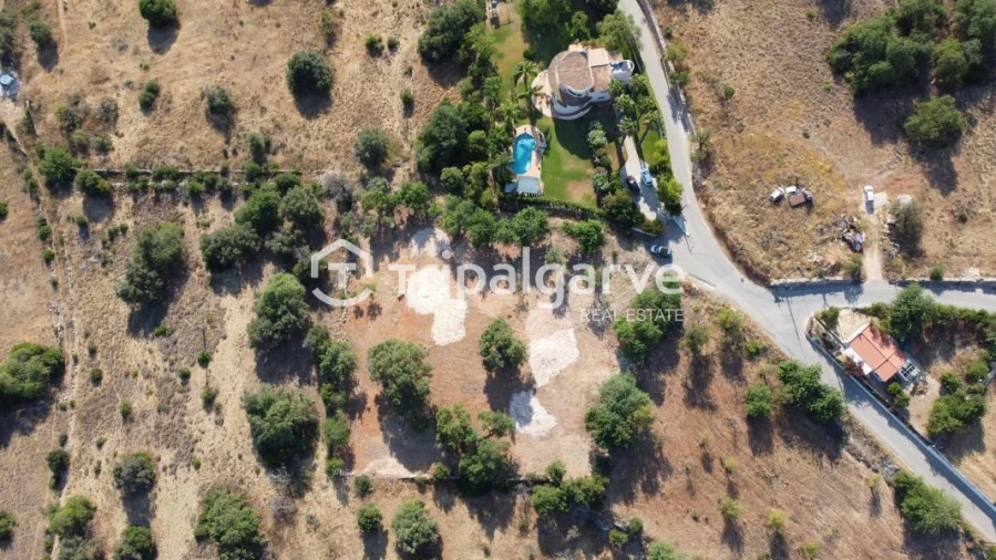 Terreno Agricola ou Rústico para Venda em Boliqueime Foto 15