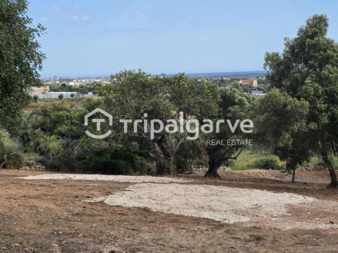 Terreno Agricola ou Rústico para Venda em Boliqueime Foto 13