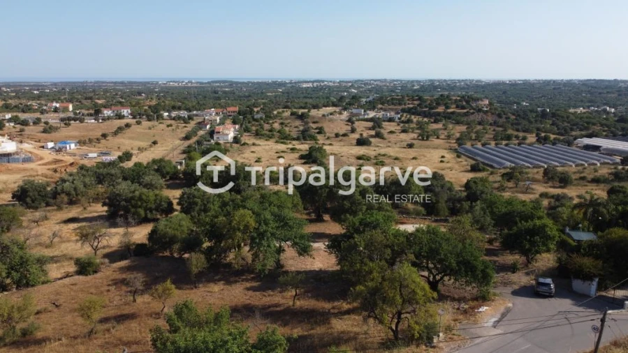 Terreno Agricola ou Rústico para Venda em Boliqueime Foto 17