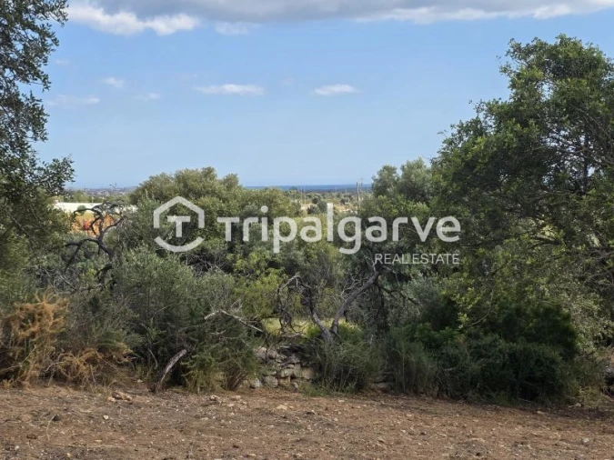 Terreno Agricola ou Rústico para Venda em Boliqueime Foto 2