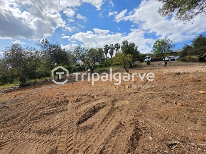 Terreno Agricola ou Rústico para Venda em Boliqueime Foto 11