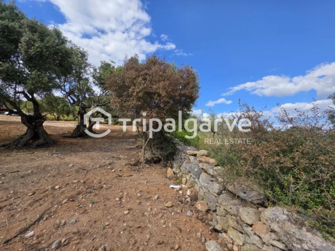 Terreno Agricola ou Rústico para Venda em Boliqueime Foto 9