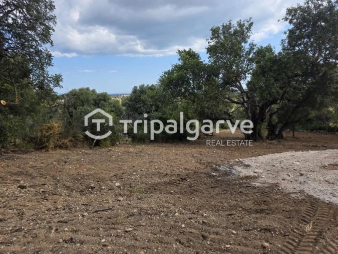Terreno Agricola ou Rústico para Venda em Boliqueime Foto 6