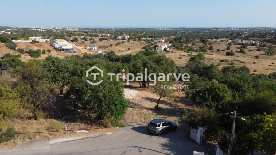 Terreno Agricola ou Rústico para Venda em Boliqueime Foto 20