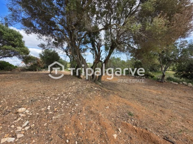 Terreno Agricola ou Rústico para Venda em Boliqueime Foto 10