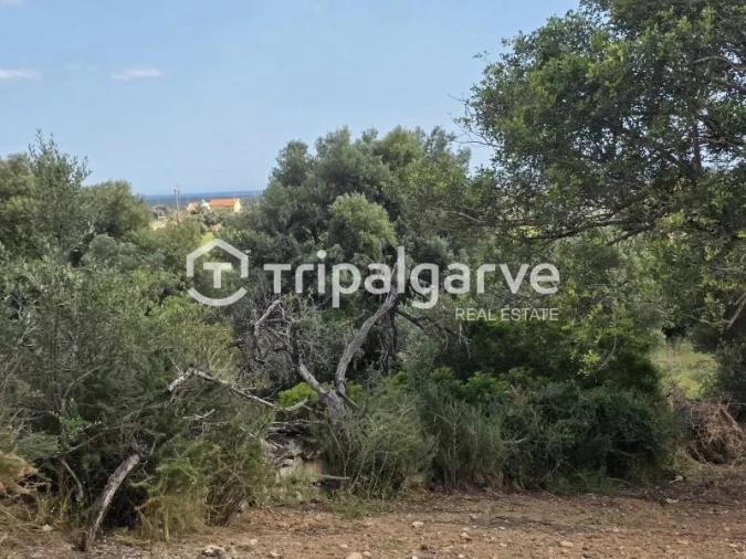 Terreno Agricola ou Rústico para Venda em Boliqueime Foto 7