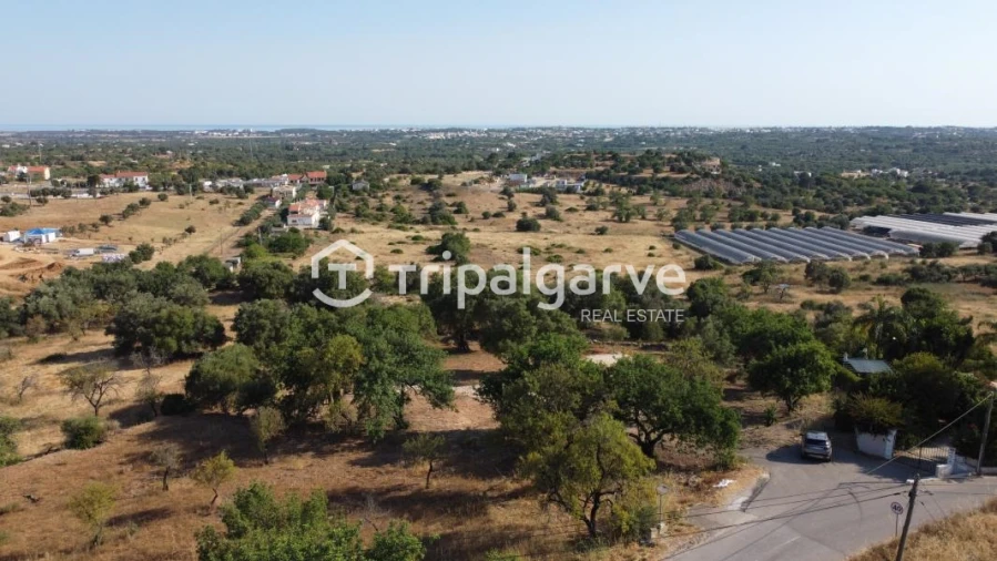 Terreno Agricola ou Rústico para Venda em Boliqueime Foto 16