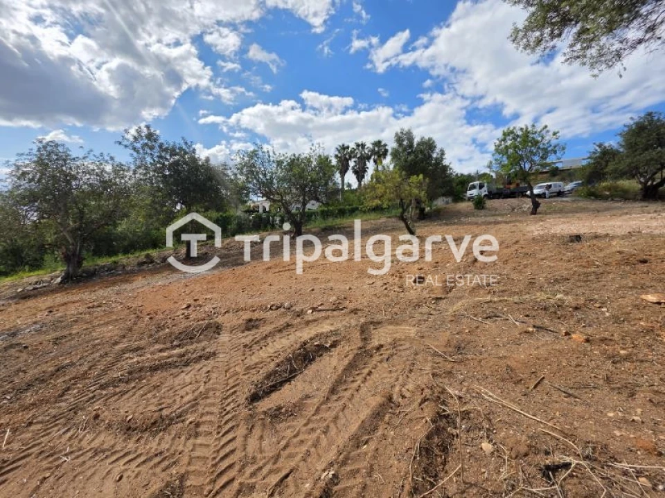 Terreno Agricola ou Rústico para Venda em Boliqueime Foto 11