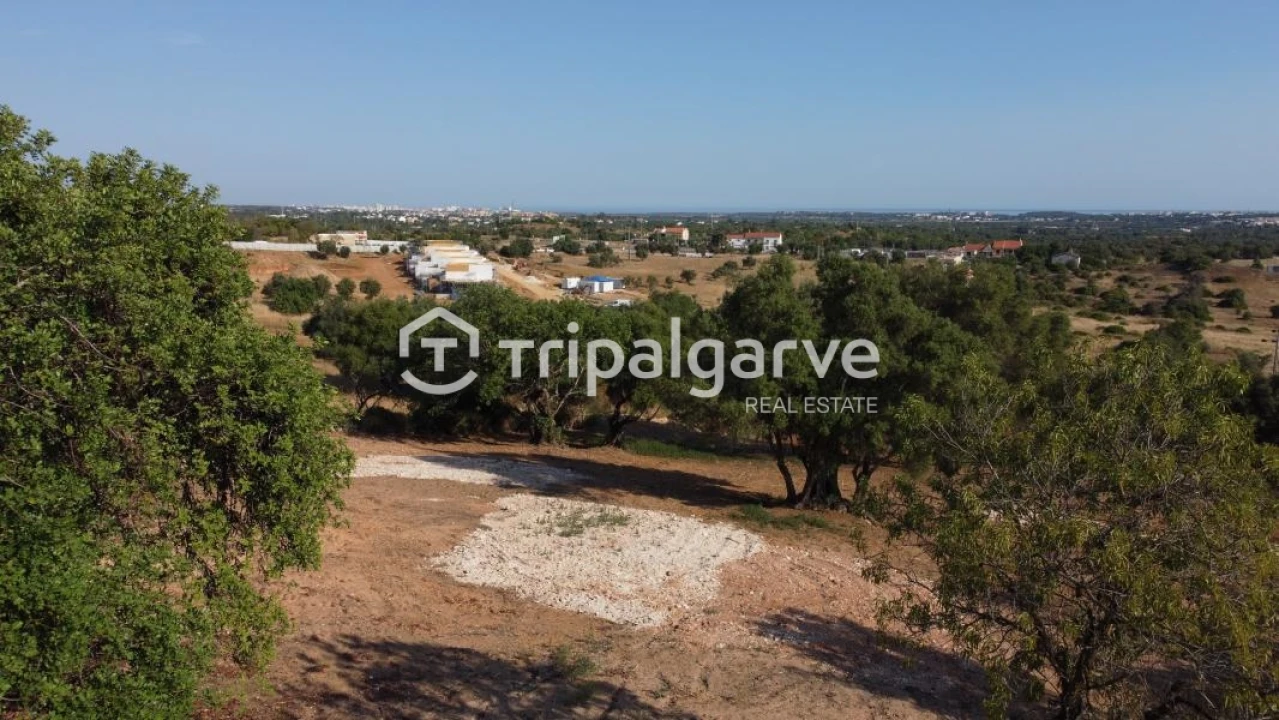 Terreno Agricola ou Rústico para Venda em Boliqueime Foto 23