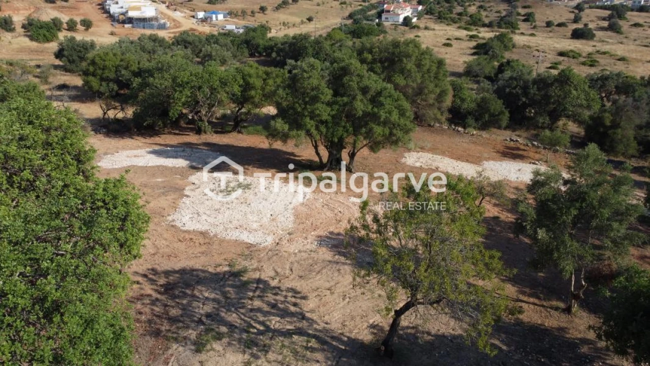 Terreno Agricola ou Rústico para Venda em Boliqueime Foto 18