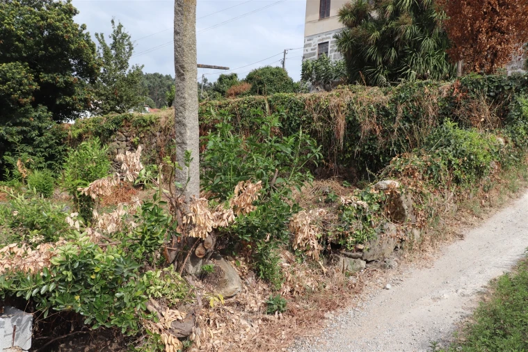 Terreno para Venda em São Tomé de Negrelos Foto 7