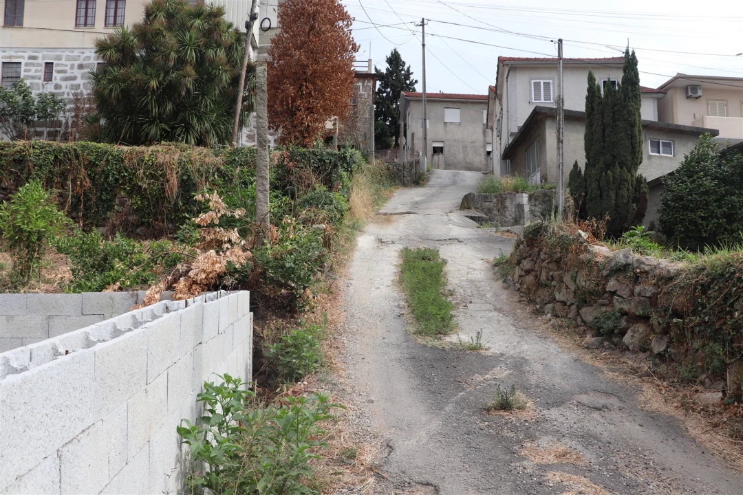 Terreno para Venda em São Tomé de Negrelos Foto 5