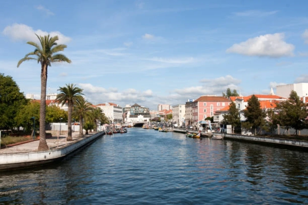 Quarto para Arrendamento em Glória e Vera Cruz Foto 2