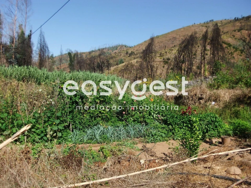 Quinta T2 para Venda em Monchique Foto 10