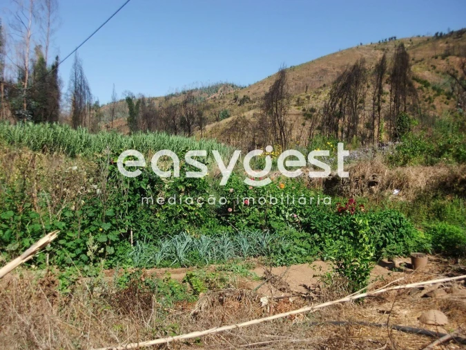 Quinta T2 para Venda em Monchique Foto 10