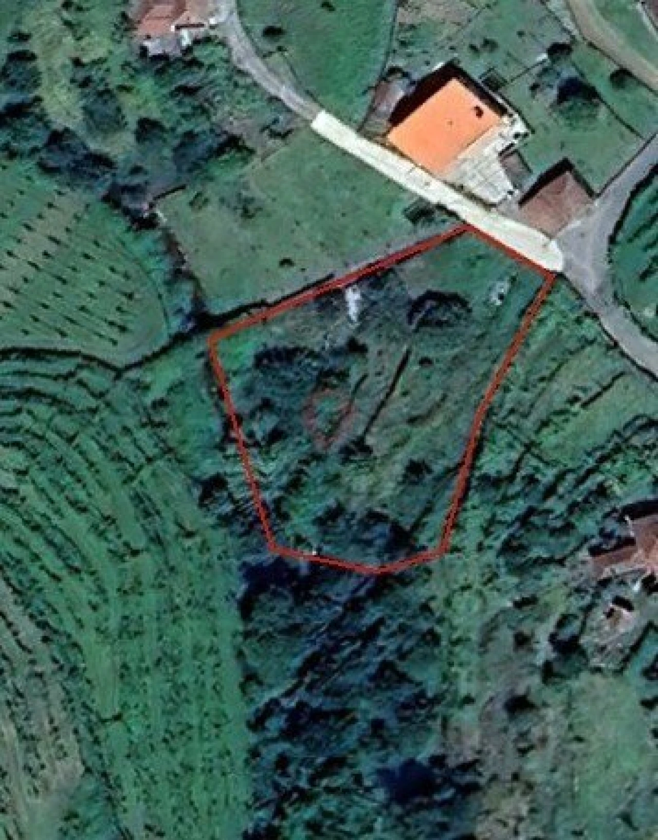 Terreno para Venda em Vila e Roussas Foto 1