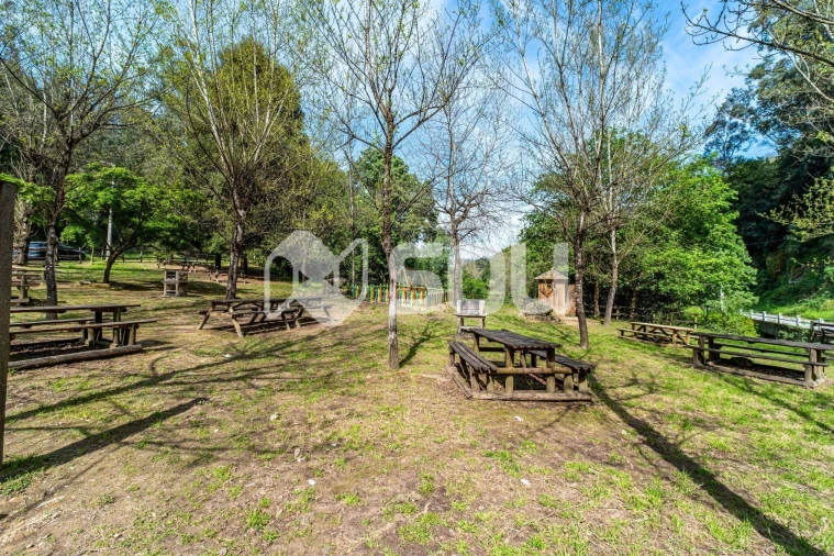 Quinta T5 para Venda em Cinfães Foto 18