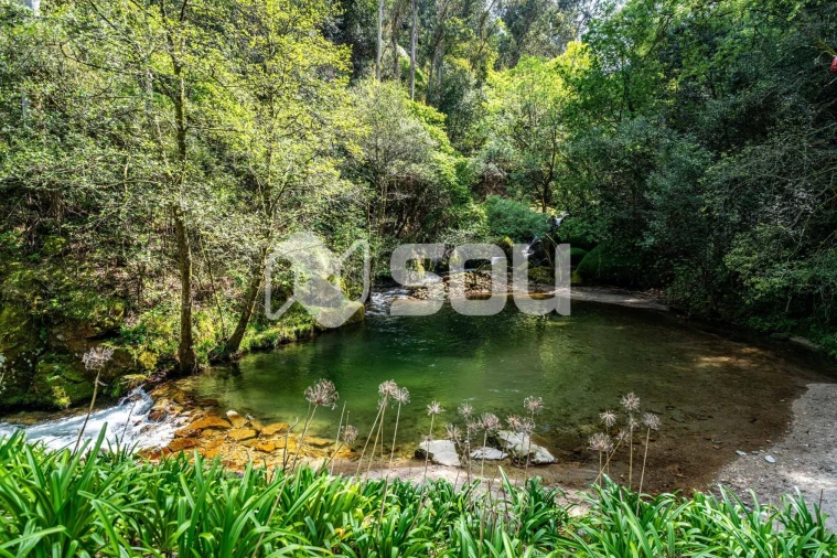 Quinta T5 para Venda em Cinfães Foto 19