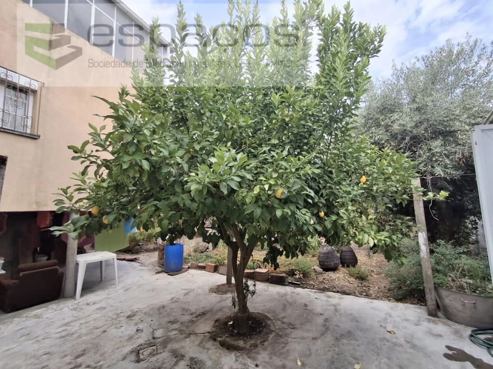 Moradia T3 para Venda em Telhado Foto 39