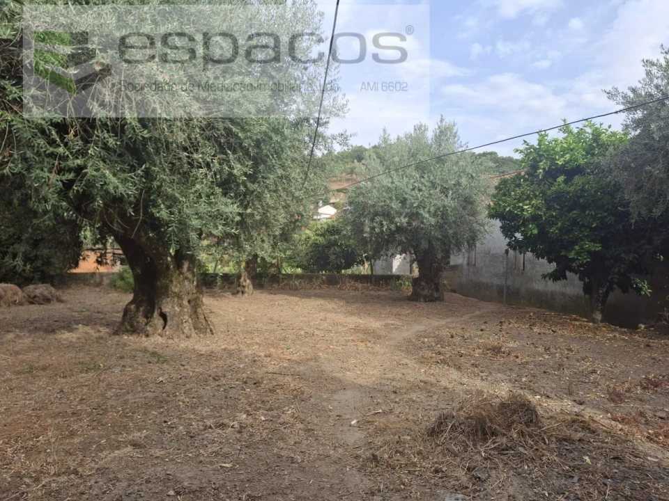 Moradia T3 para Venda em Telhado Foto 42