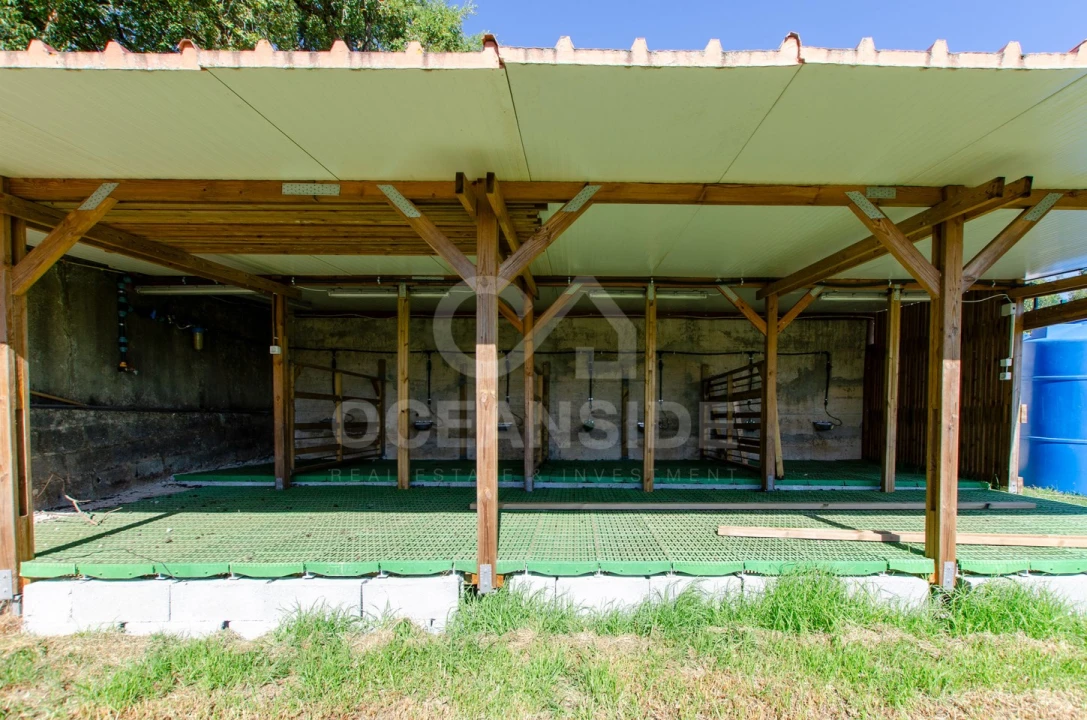 Quinta T2 para Venda em Rio de Mouro Foto 41
