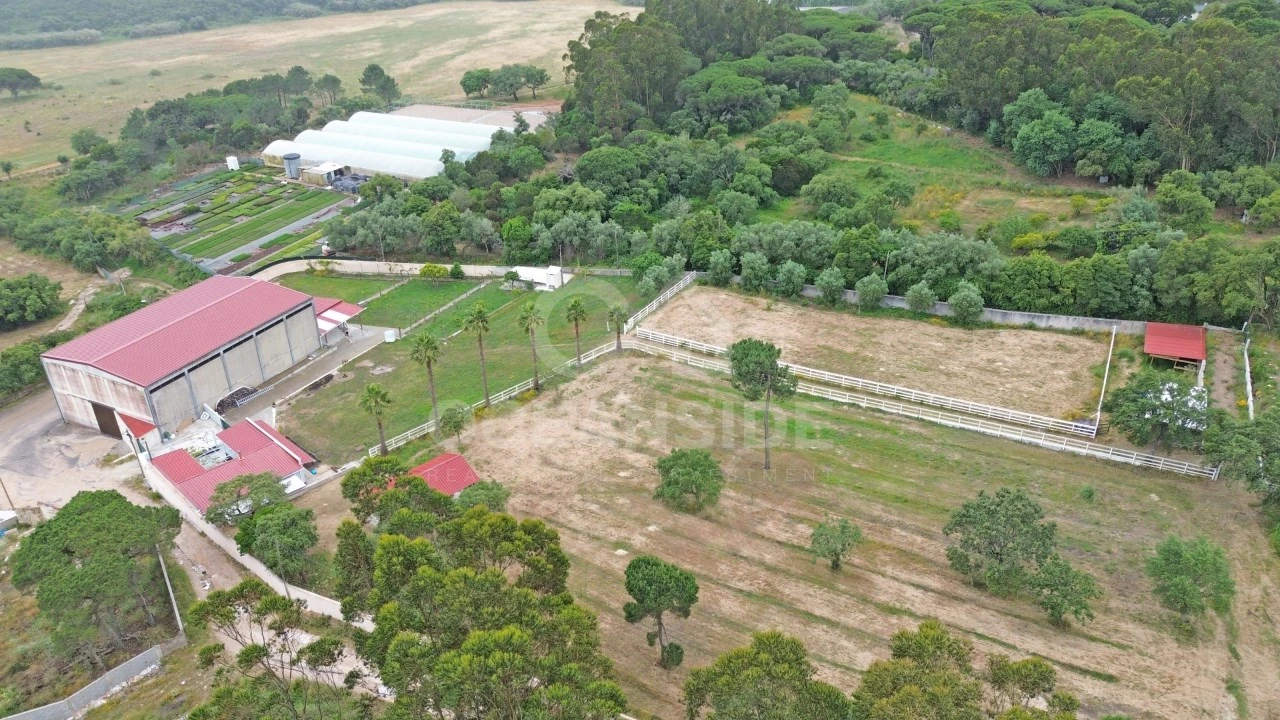 Quinta T2 para Venda em Rio de Mouro Foto 58