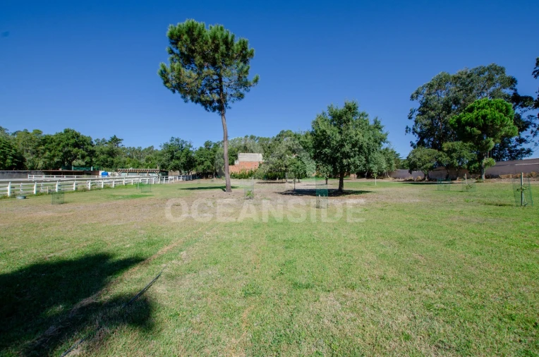 Quinta T2 para Venda em Rio de Mouro Foto 36