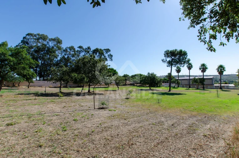 Quinta T2 para Venda em Rio de Mouro Foto 38