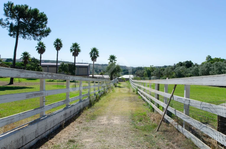 Quinta T2 para Venda em Rio de Mouro Foto 39