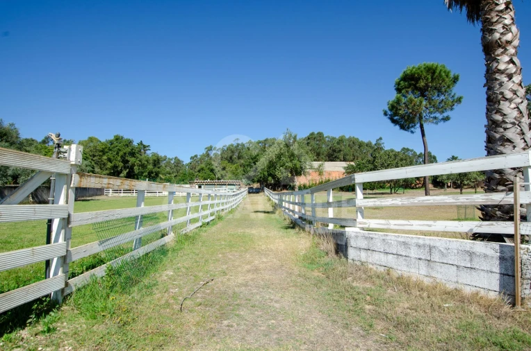 Quinta T2 para Venda em Rio de Mouro Foto 43