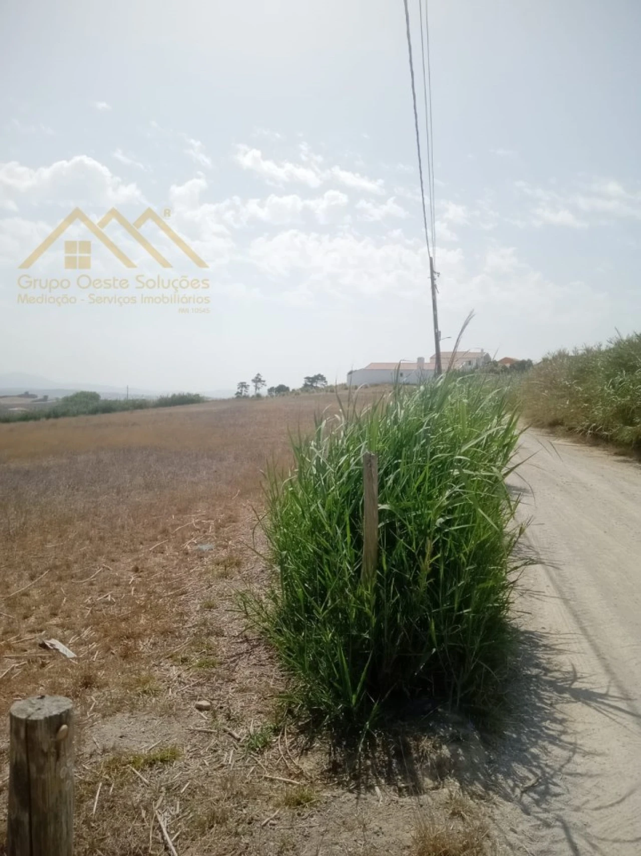 Terreno para Venda em Lourinhã e Atalaia Foto 4