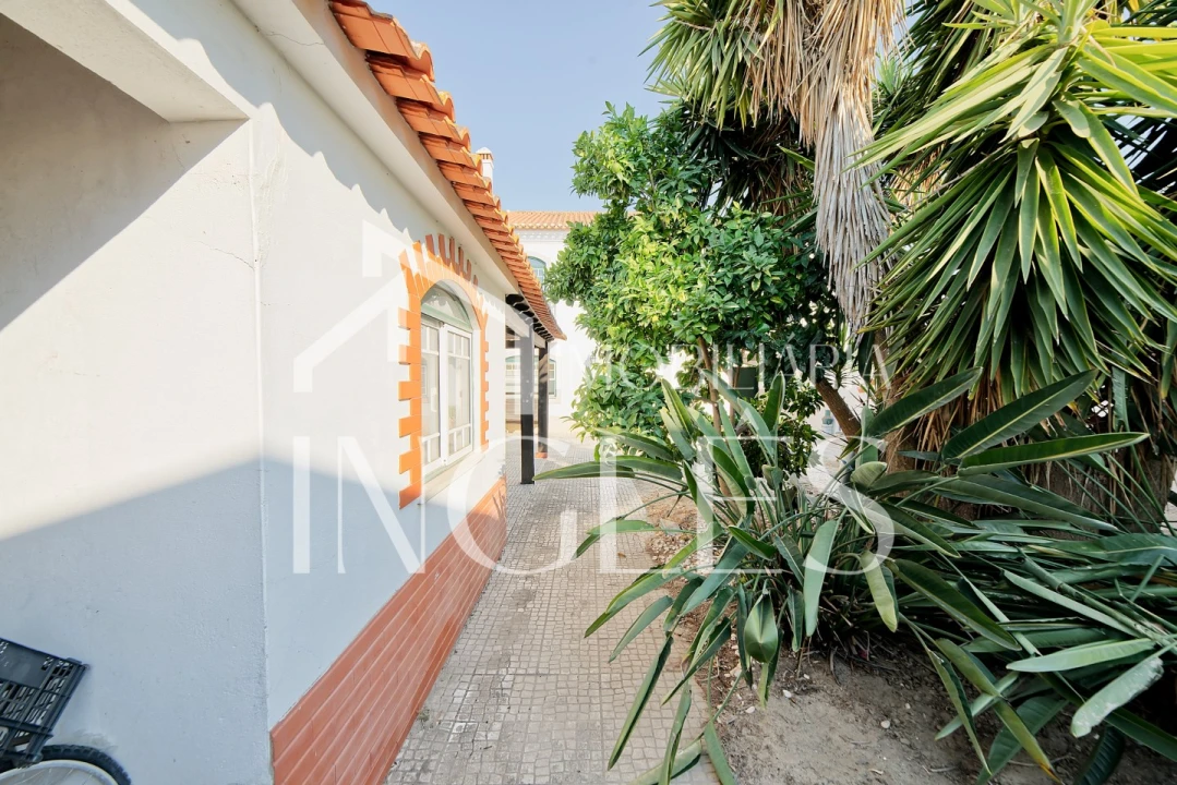 Moradia T4 para Venda em Alpiarça Foto 5